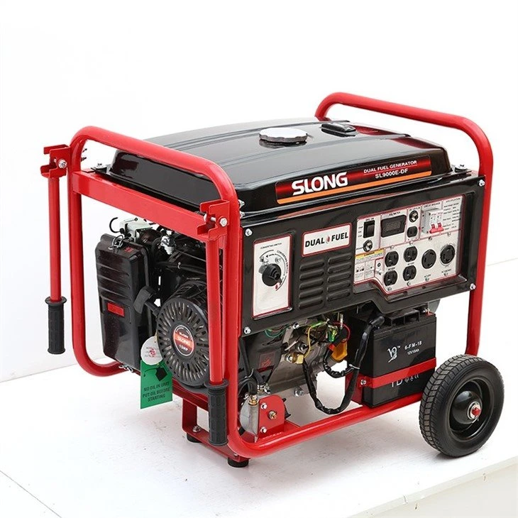 dual fuel double voltage generator